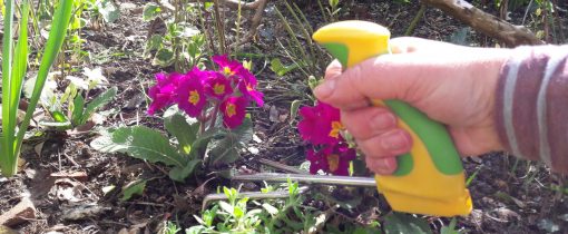 Image is a photograph of an elderly person's hand, gripping the easi-grip cultivator whilst turning soil in a flowerbed outdoors